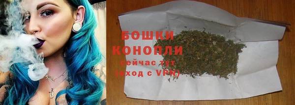 хмурый Гусь-Хрустальный