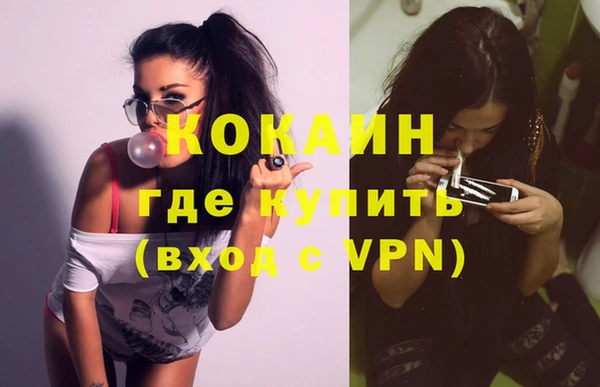 хмурый Гусь-Хрустальный