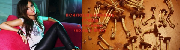 хмурый Гусь-Хрустальный