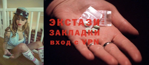 хмурый Гусь-Хрустальный
