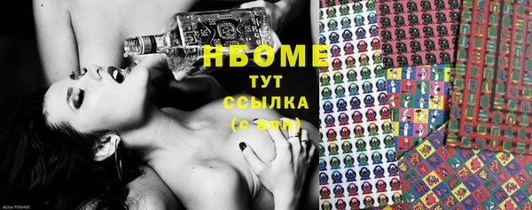 ECSTASY Горняк