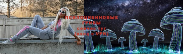 apvp Горно-Алтайск