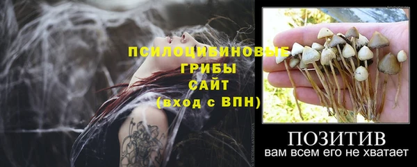 MDMA Гусев