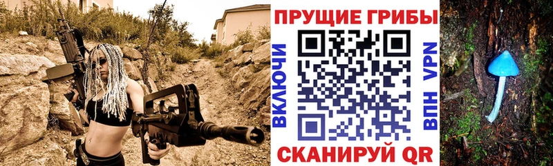 Псилоцибиновые грибы Cubensis  Купить  Лодейное Поле 
