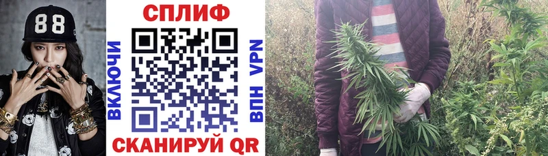 Конопля Ganja  Купить где  Лодейное Поле 